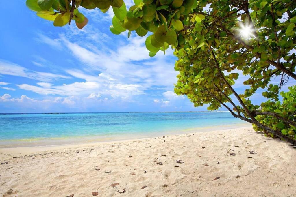 Cozy 1-Bedroom Apartment Minutes Away Drive To Mangel Halto Beach Savaneta Eksteriør bilde