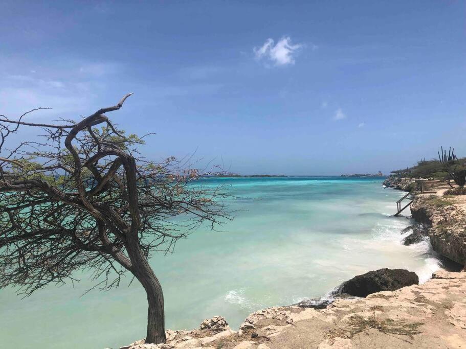 Cozy 1-Bedroom Apartment Minutes Away Drive To Mangel Halto Beach Savaneta Eksteriør bilde